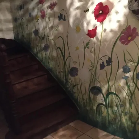 Michouat D'hotes 4* Vidou