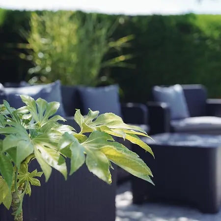 Michouat D'hotes Oda ve Kahvaltı