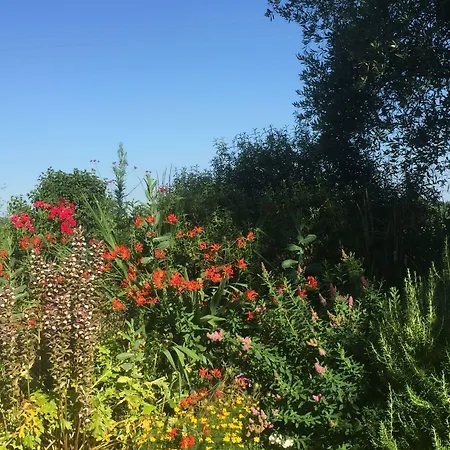 住宿加早餐酒店 Michouat D'hotes 4*