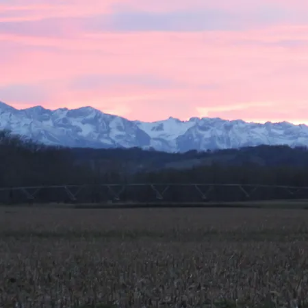 Michouat D'hotes 住宿加早餐酒店 Vidou