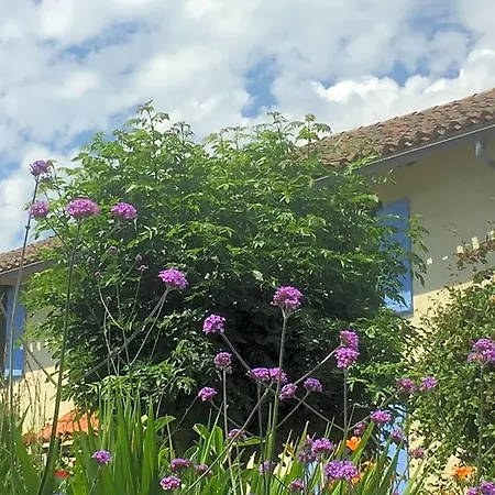 Michouat D'hotes Bed & Breakfast 4*