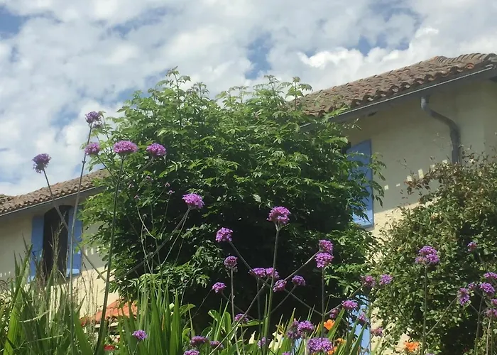 Michouat D'hotes B&B 4*